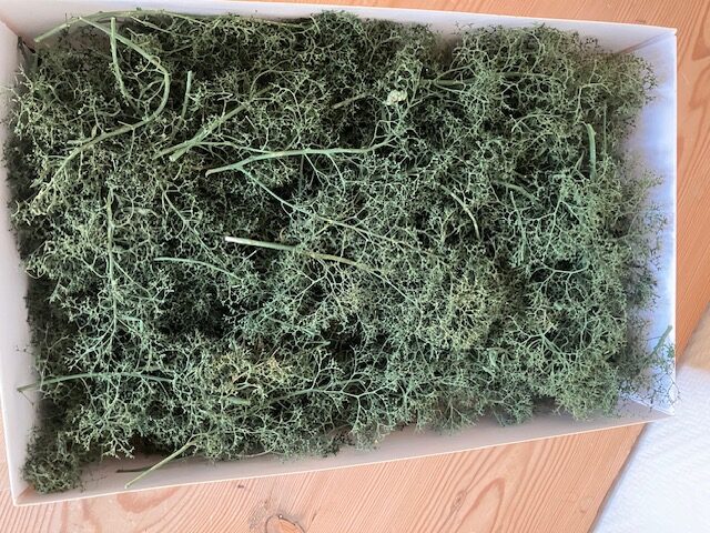 Heki 1630 Løvtræer og buske 15 Stk Natur fibre. h0 TT N Z.